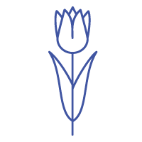 Composizioni floreali Composizioni floreali